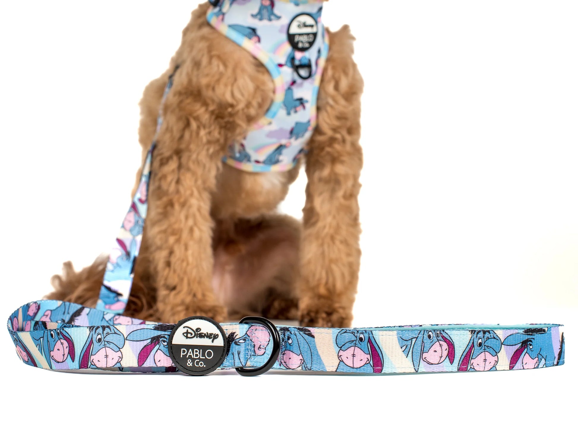 Pablo & Co. Eeyore: Dog Leash