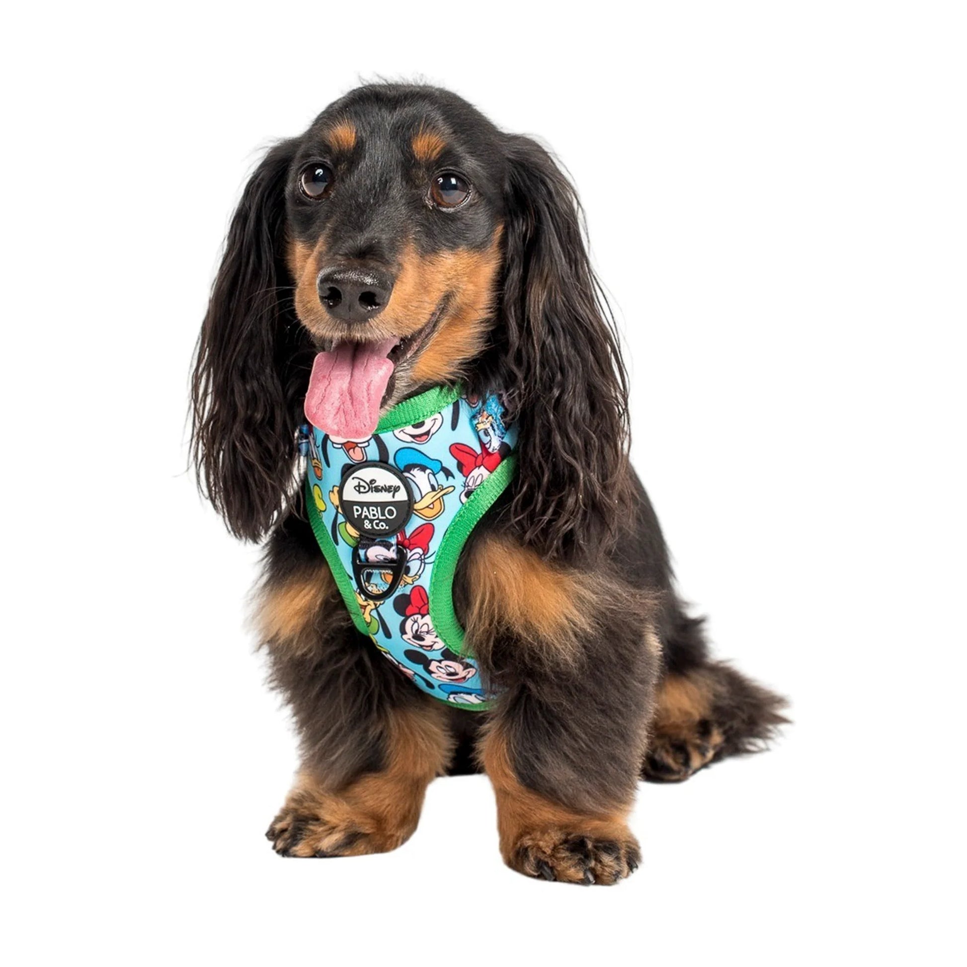 Mickey & Friends Blue Adjustable Harness (XXS-XL)
