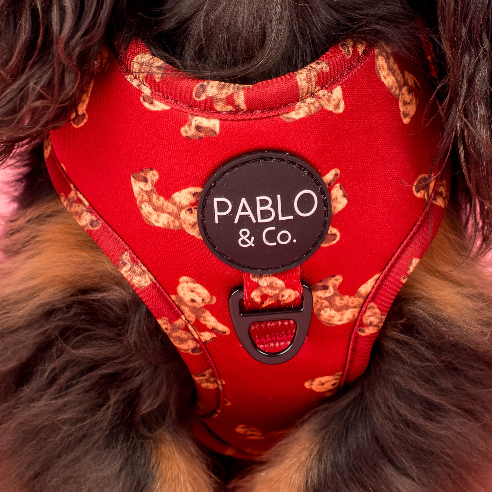 Henry Bear: Adjustable Harness (XXS-XL)