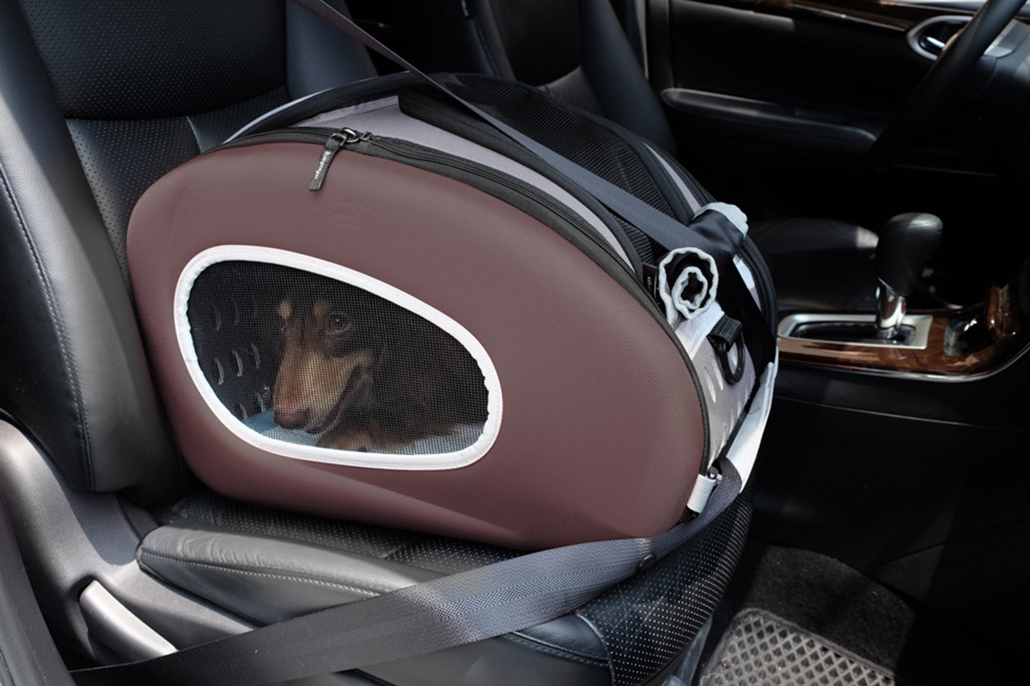 5-in-1 Combo EVA Pet Carrier/Pram/Stroller - Chocolate