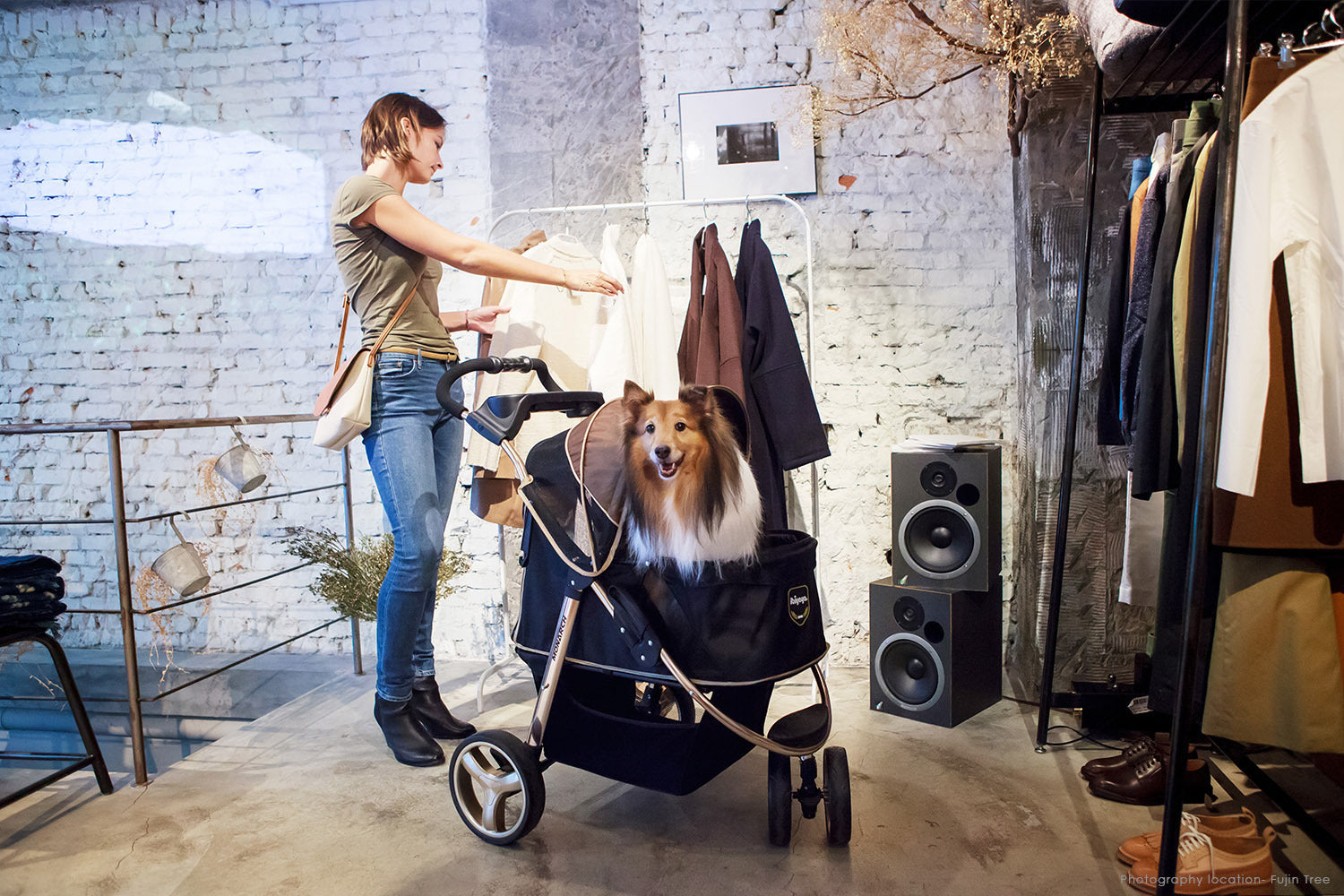Ibiyaya Monarch Premium Pet Jogger Stroller - Luxury Gold