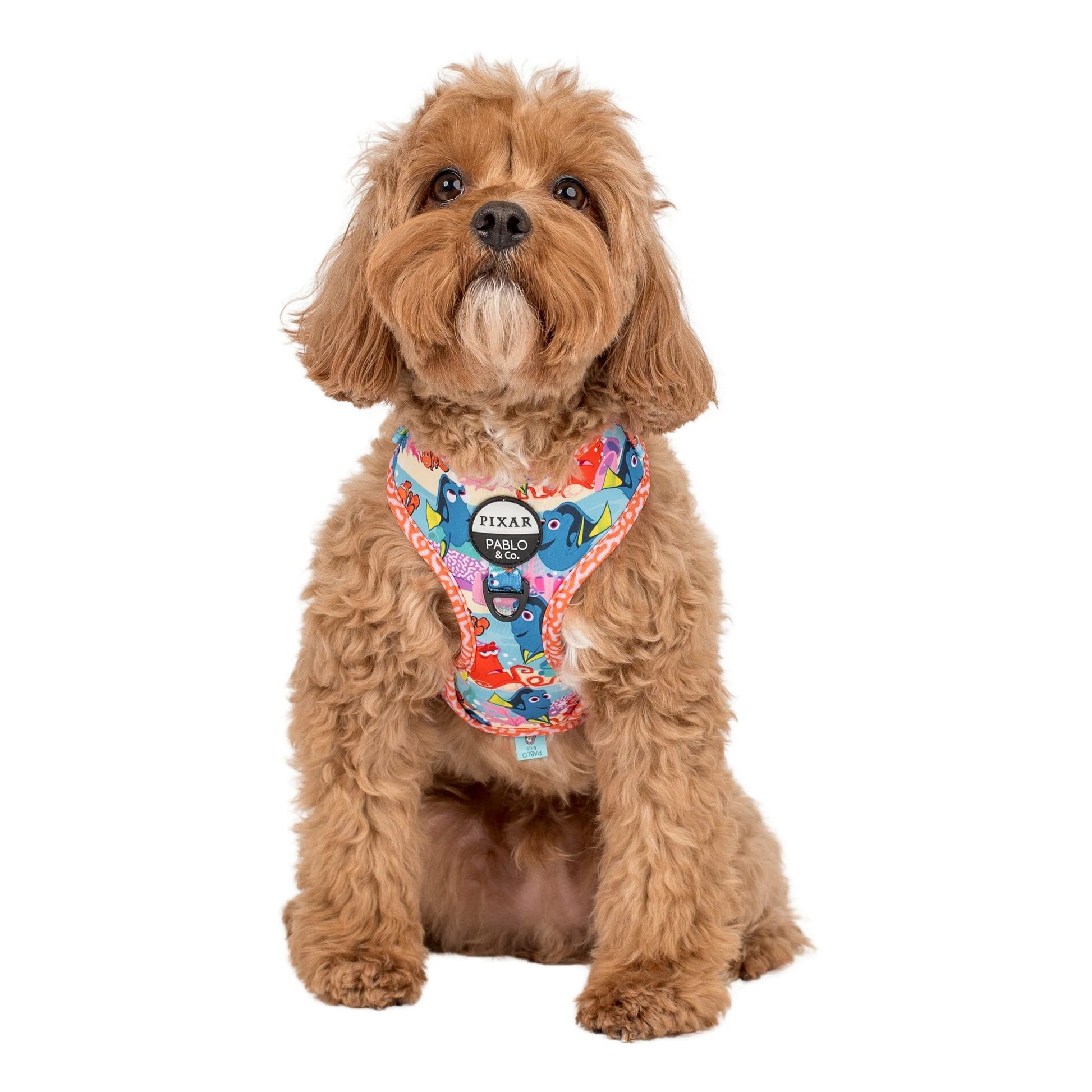 Finding Nemo Adjustable Harness (XXS-XL)