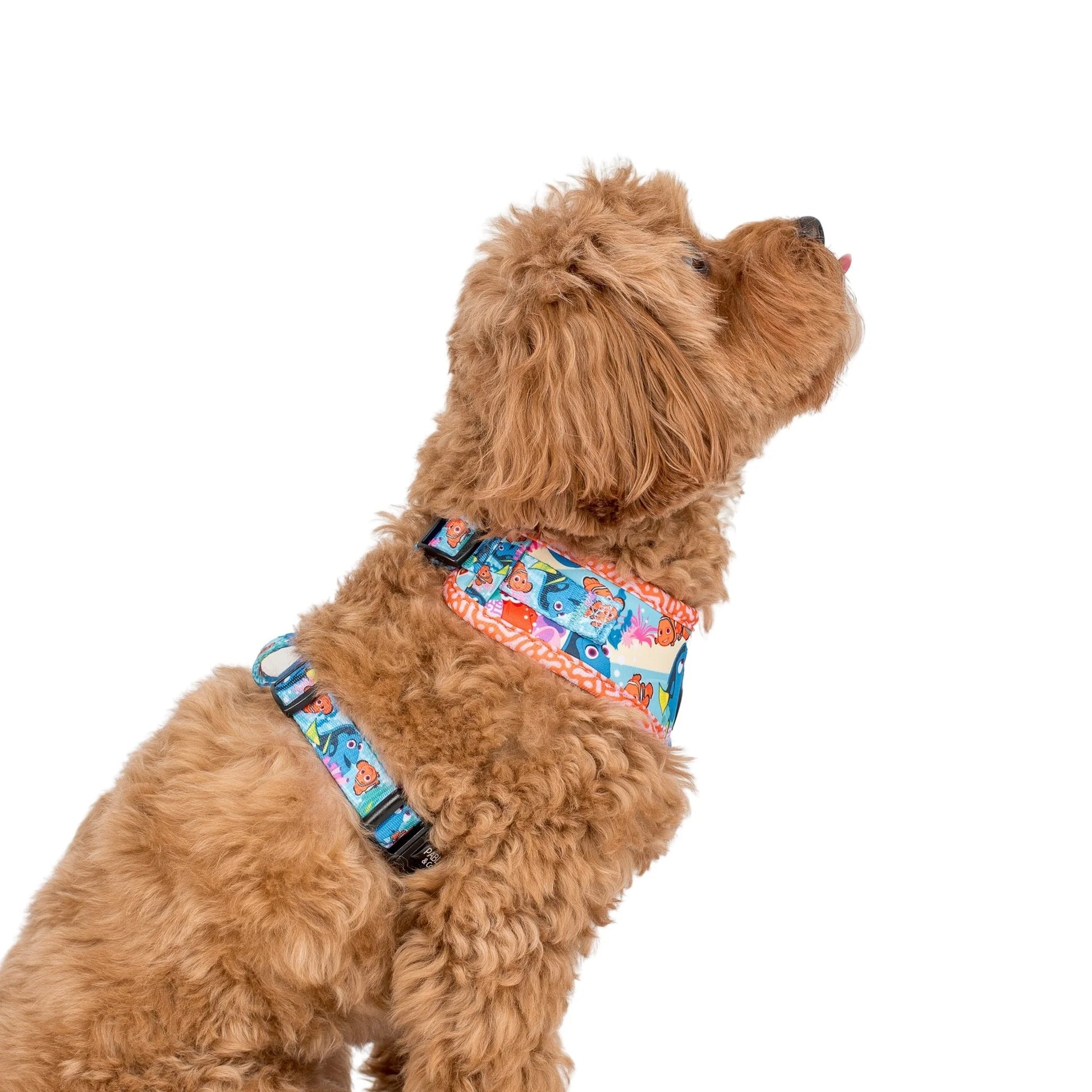 Finding Nemo Adjustable Harness (XXS-XL)