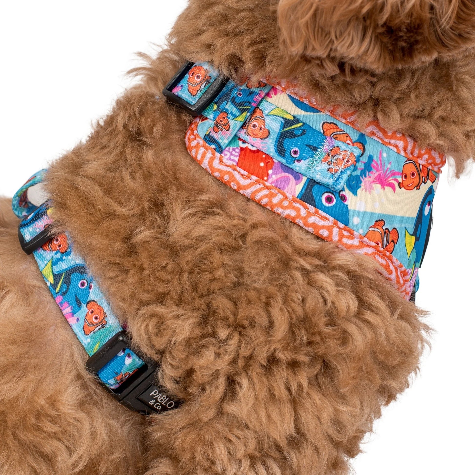 Finding Nemo Adjustable Harness (XXS-XL)