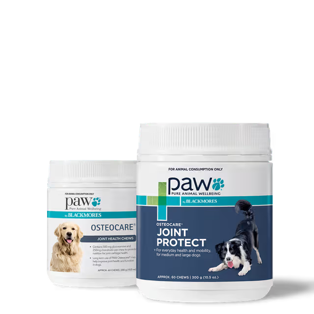 PAW Osteocare Joint Health Chews 300g/500g-300g - 60 Chews