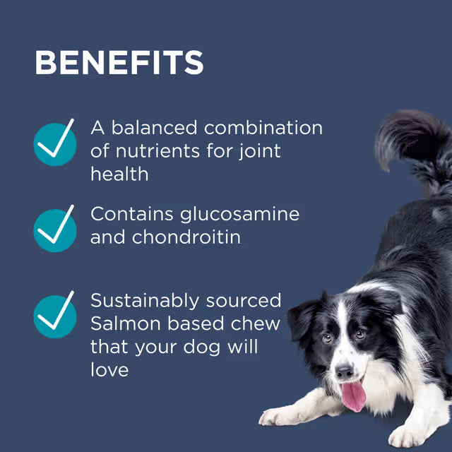 PAW Osteocare Joint Health Chews 300g/500g-300g - 60 Chews