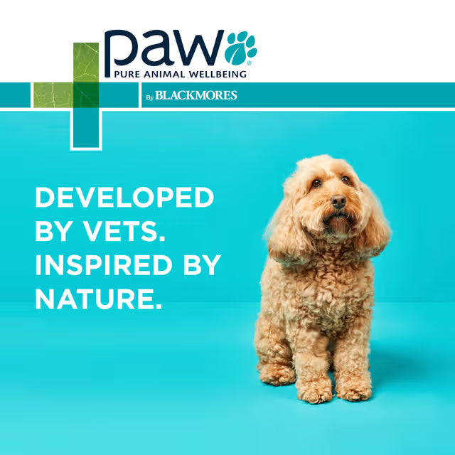 PAW Osteocare Joint Health Chews 300g/500g-300g - 60 Chews