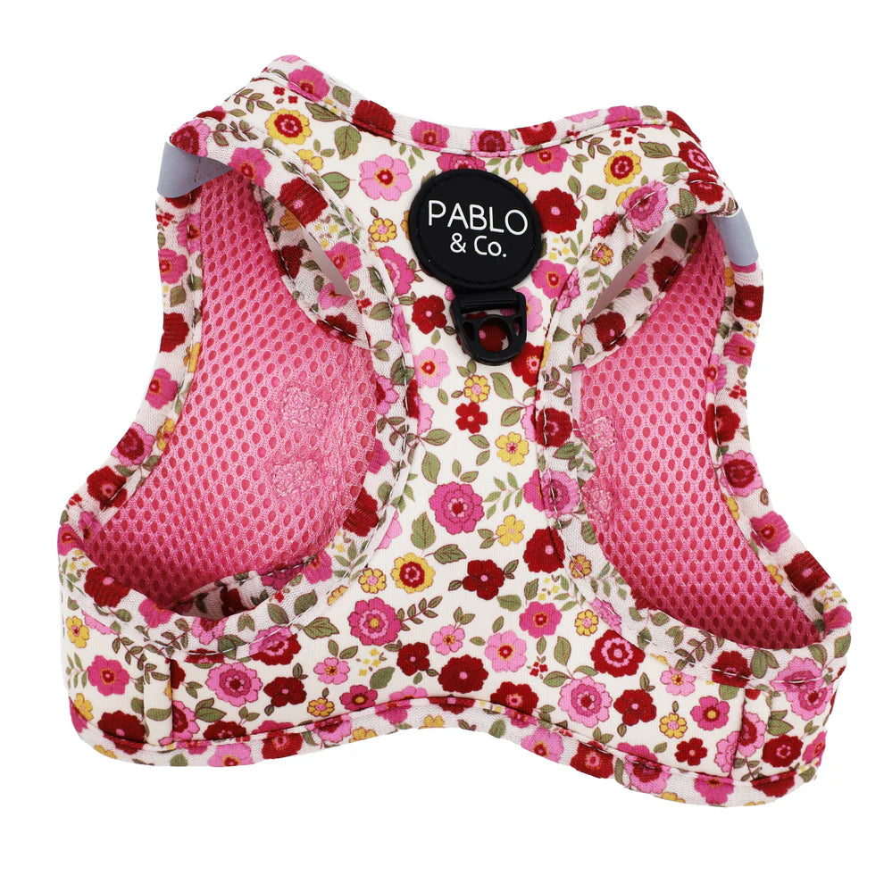 Primrose: Step In Cat Harness