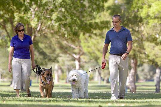 How AI Can Make You a Better Dog Parent