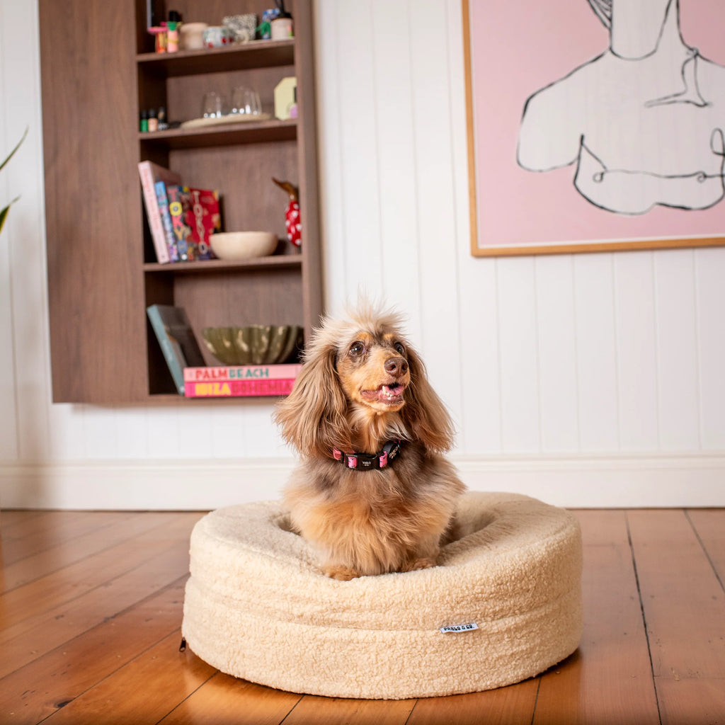 Orthopedic Memory Foam Teddy Donut Dog Bed