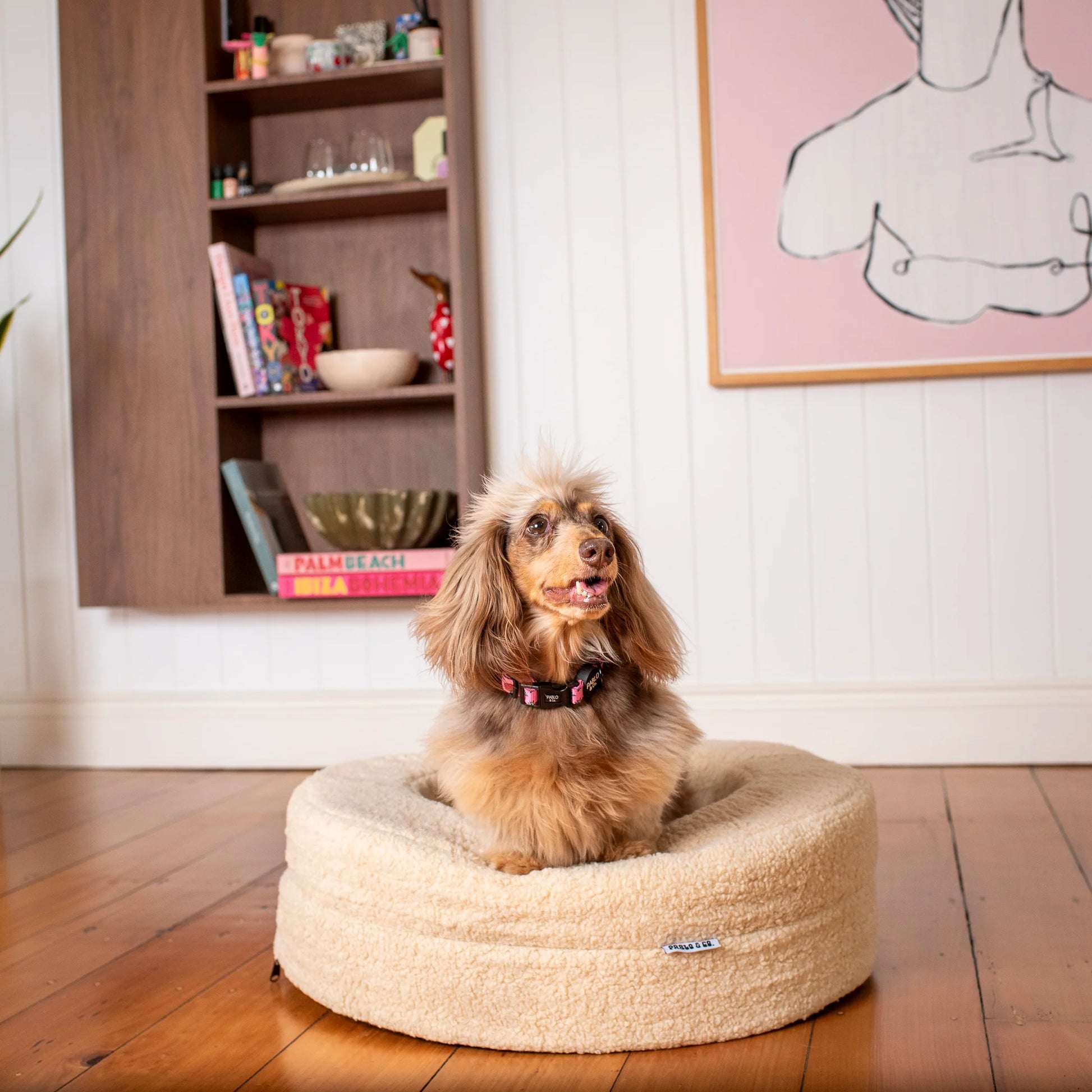 Orthopedic Memory Foam Teddy Donut Dog Bed