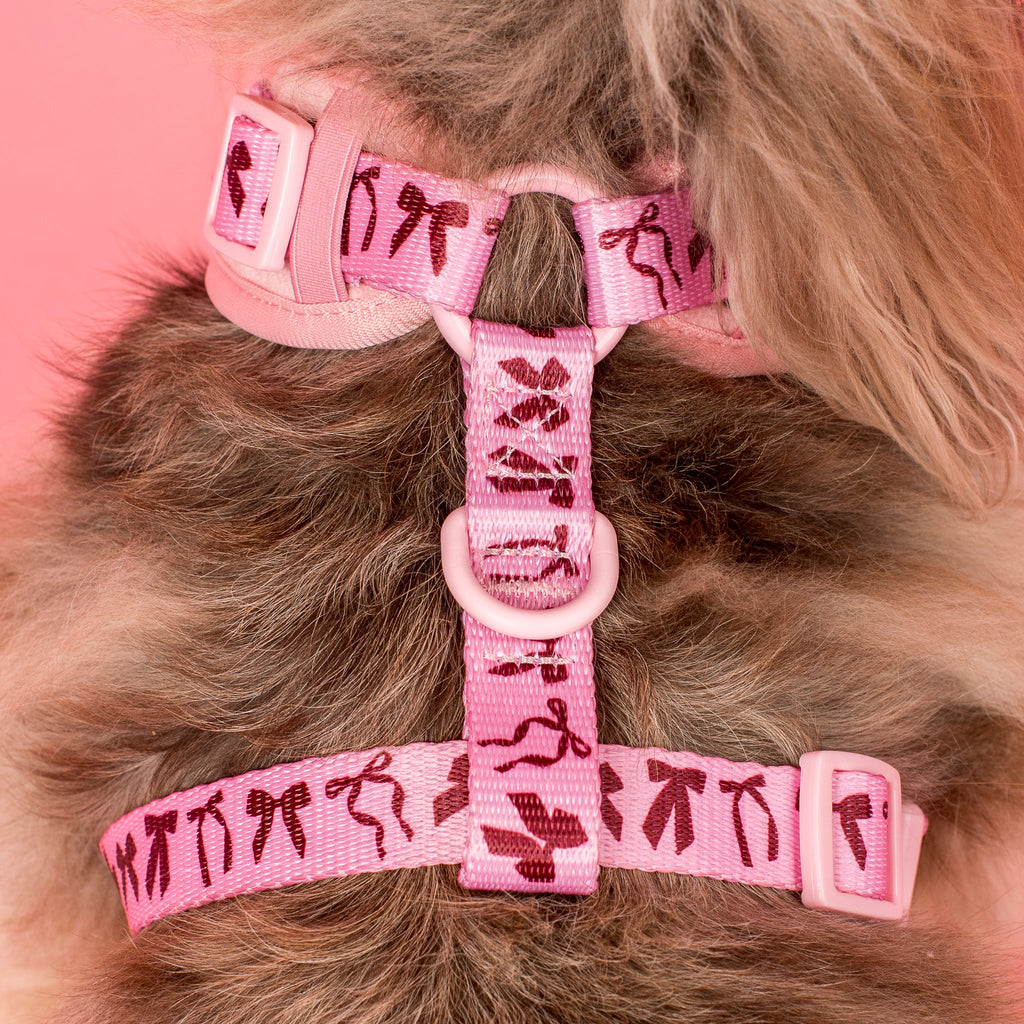 Velvet Blush Bows: Adjustable Harness