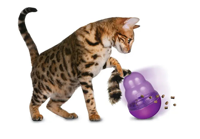 KONG Cat Wobbler Interactive Treat Toy