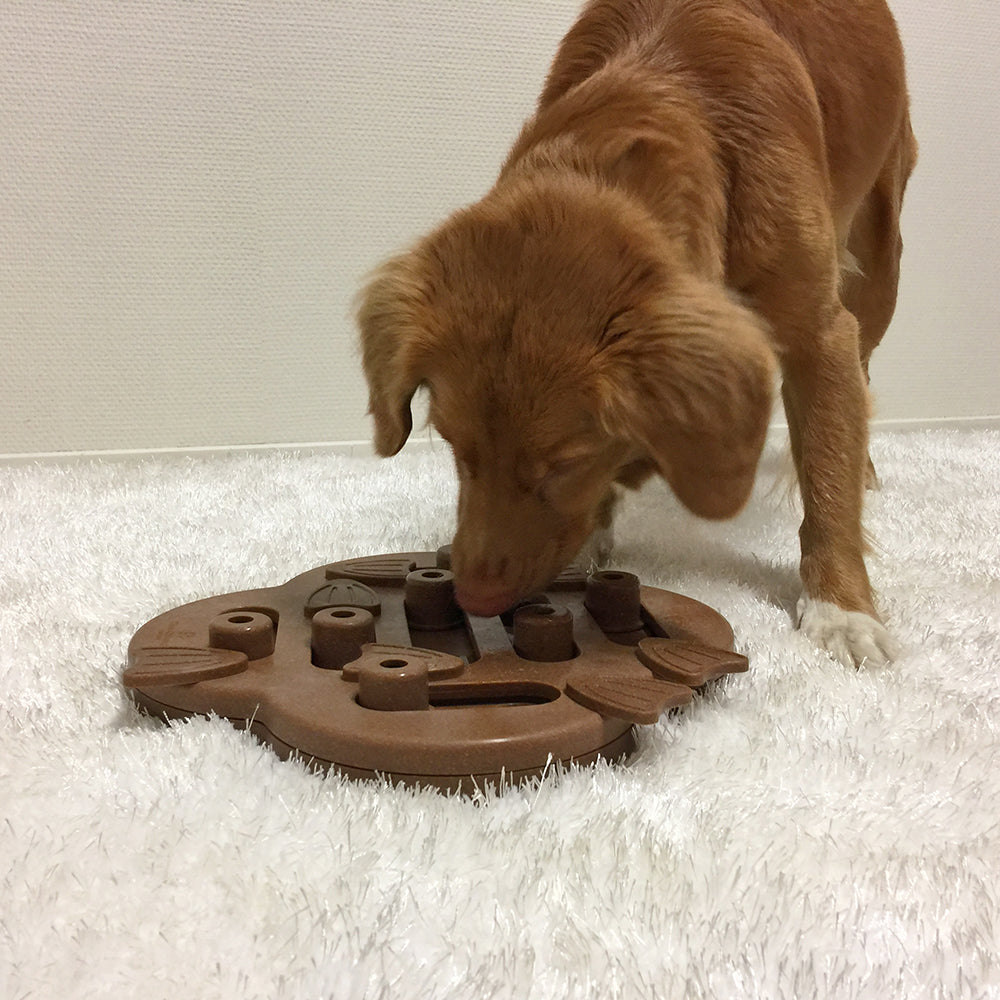 Nina Ottosson Smart Interactive Dog Toy - Dog Hide N Slide in Wooden Composite