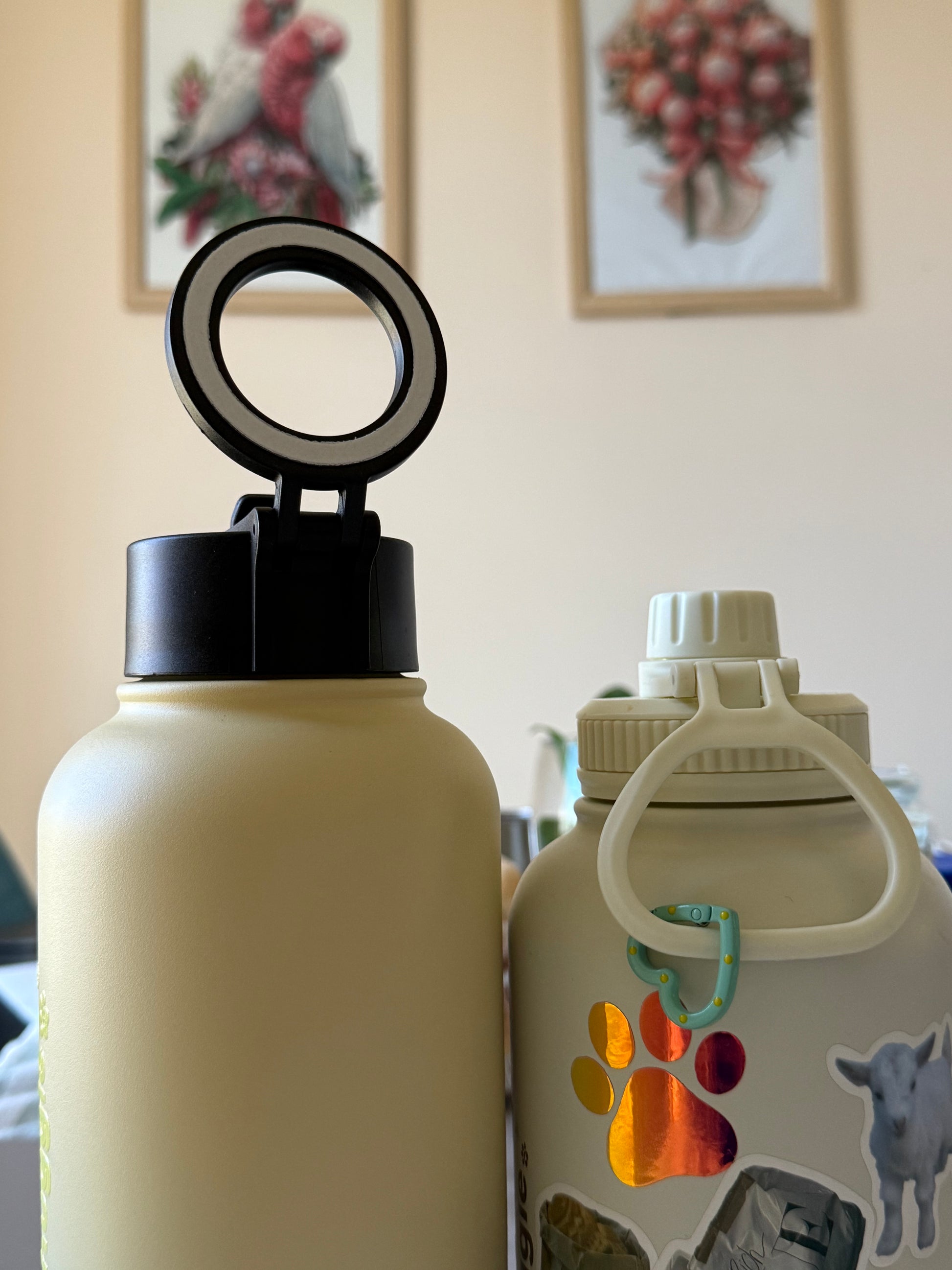 NEW! Chuggle + Magnetic Phone Holder 32oz