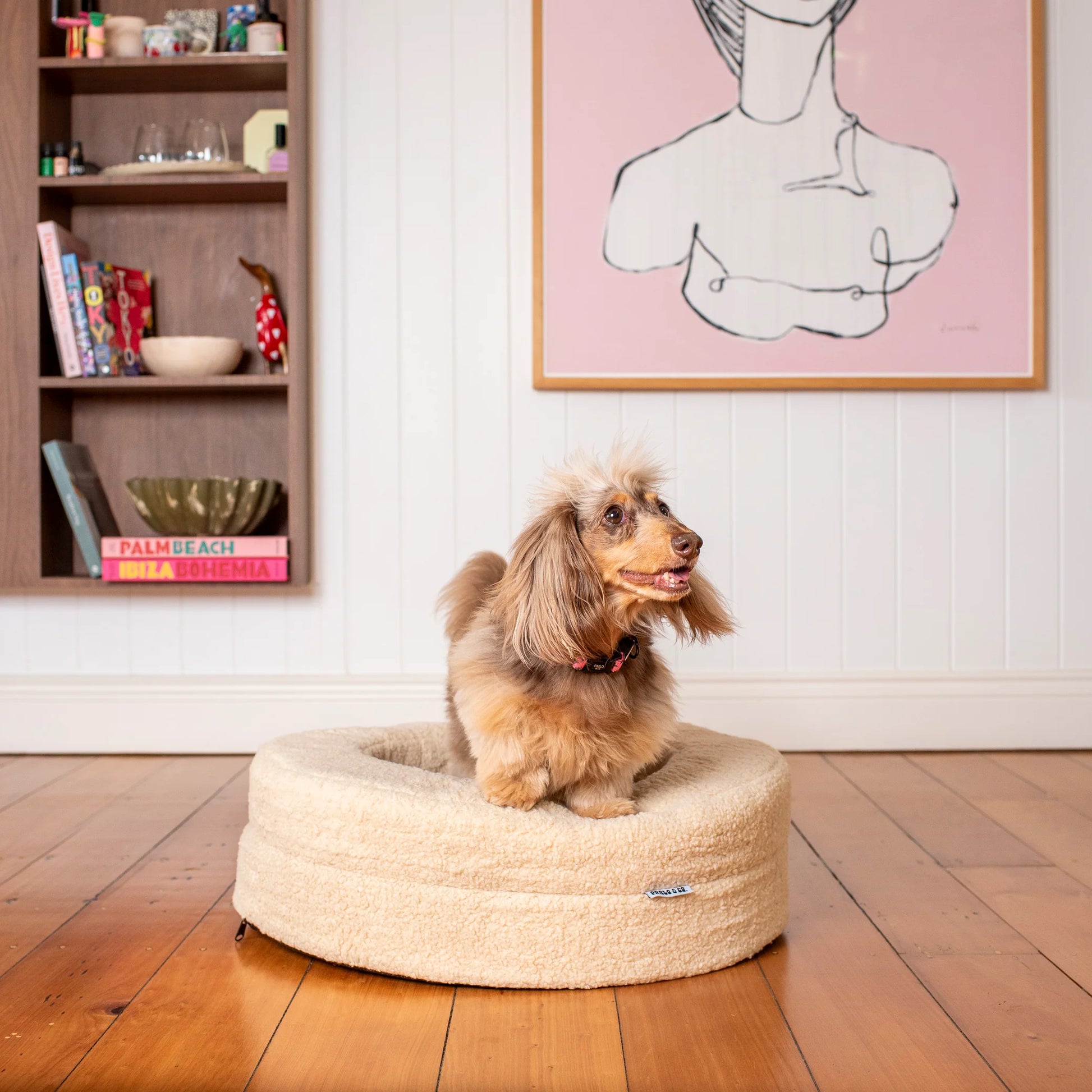 Orthopedic Memory Foam Teddy Donut Dog Bed