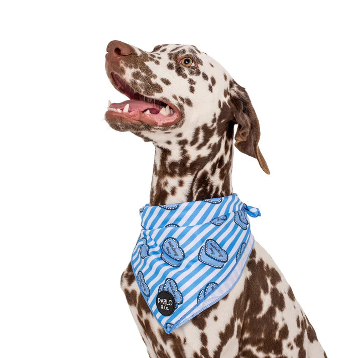 Birthday Boy: Dog Bandana