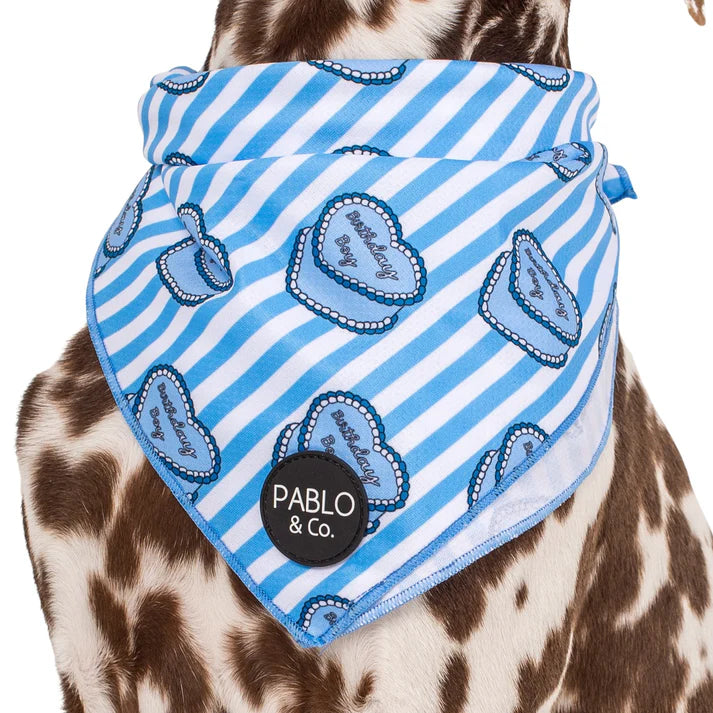 Birthday Boy: Dog Bandana