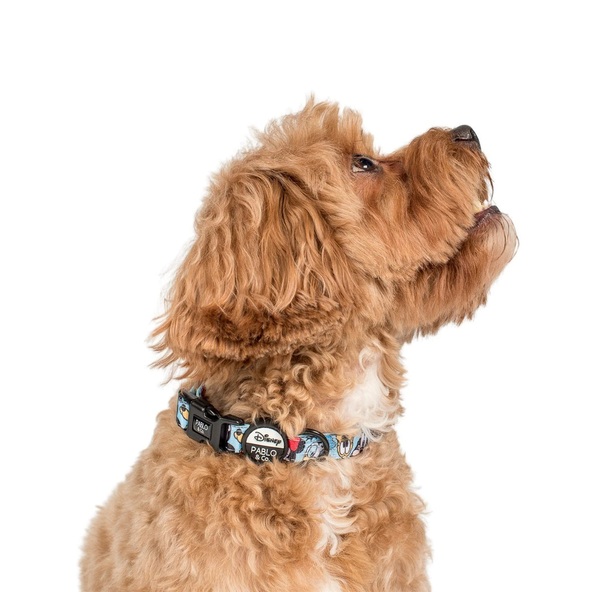 Mickey & Friends Blue Dog Collar (XS-L)