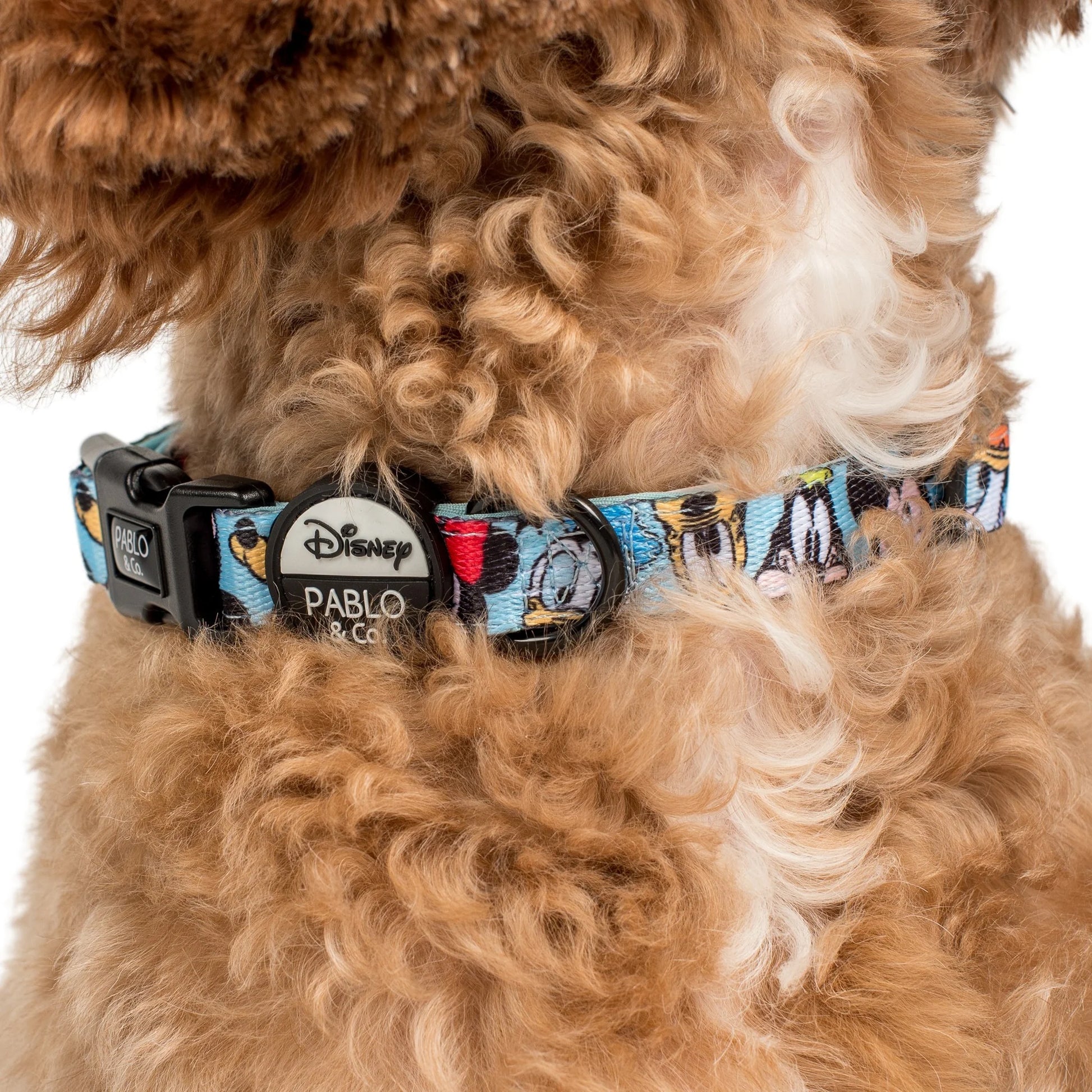 Mickey & Friends Blue Dog Collar (XS-L)