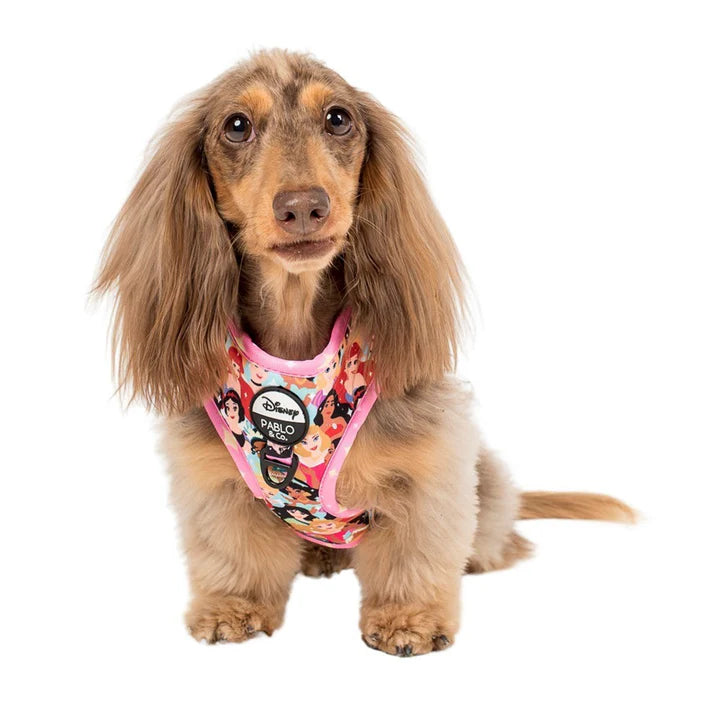Disney Princesses Adjustable Harness (XS-XL)