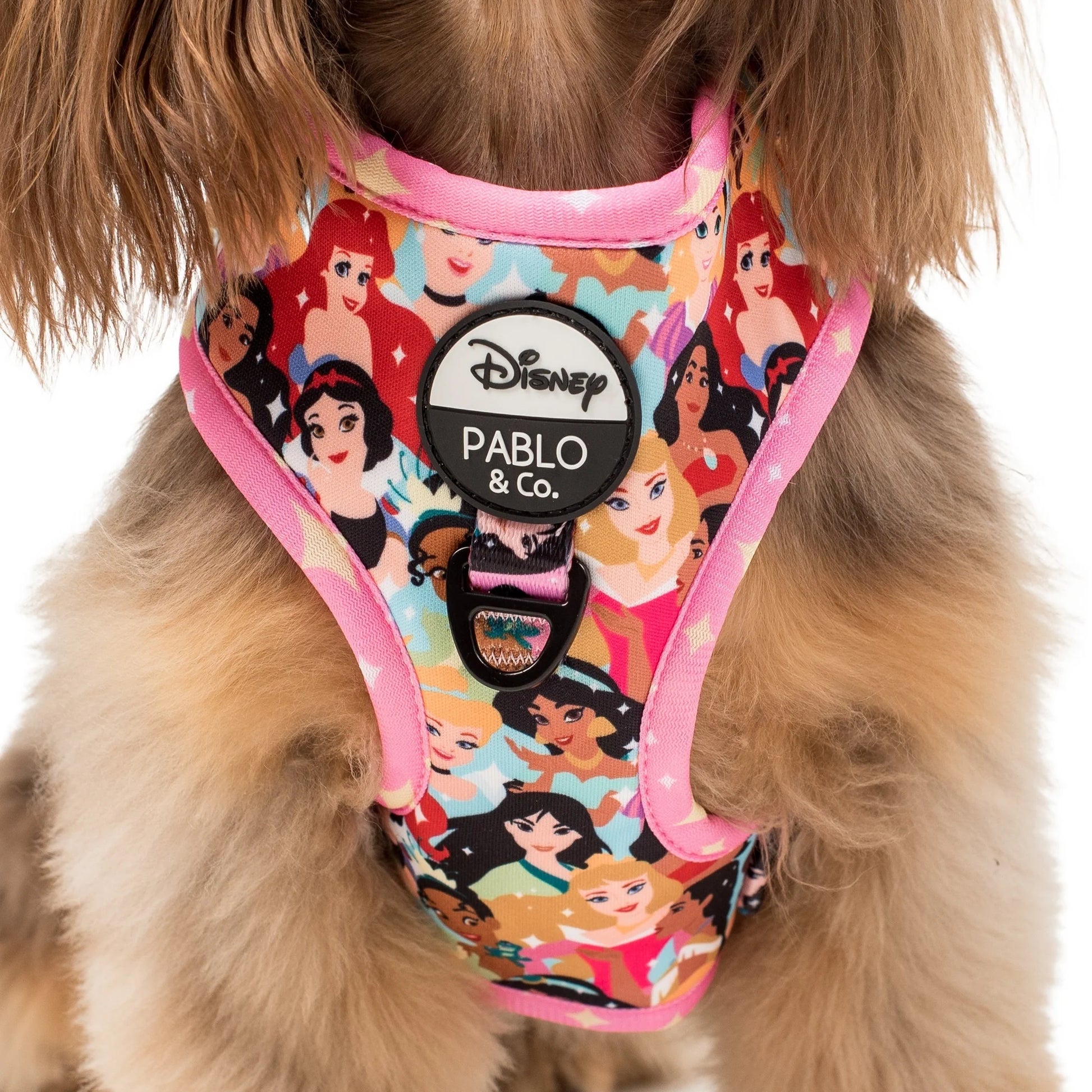 Disney Princesses Adjustable Harness (XS-XL)