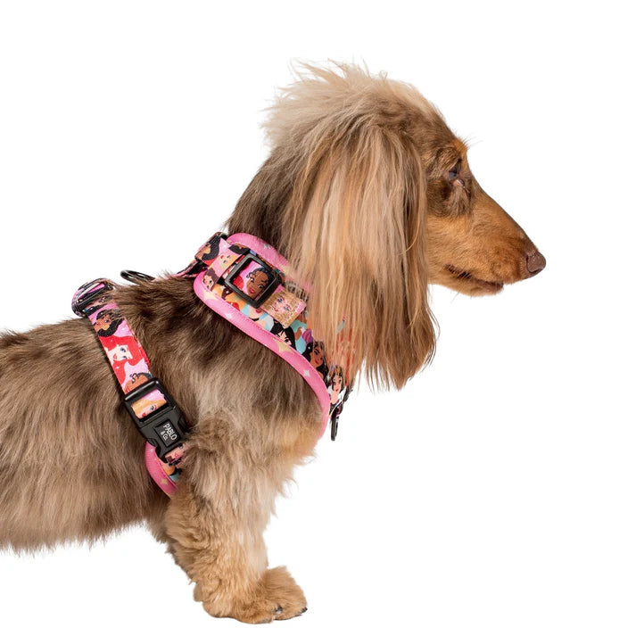Disney Princesses Adjustable Harness (XS-XL)