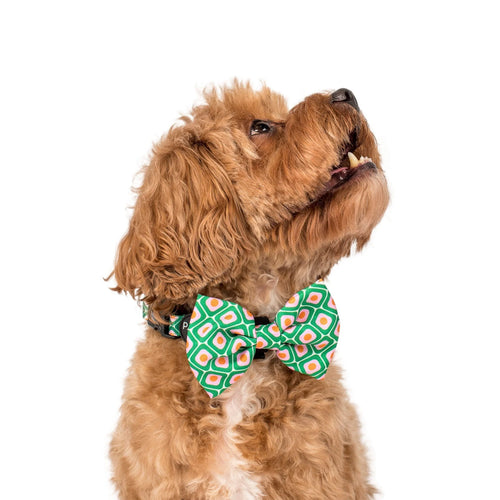 70's style: BOW TIE