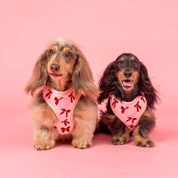 Velvet Blush Bows: Adjustable Harness