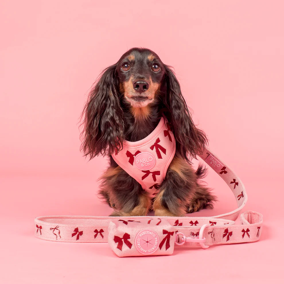 Velvet Blush Bows: Poop Bag Holder