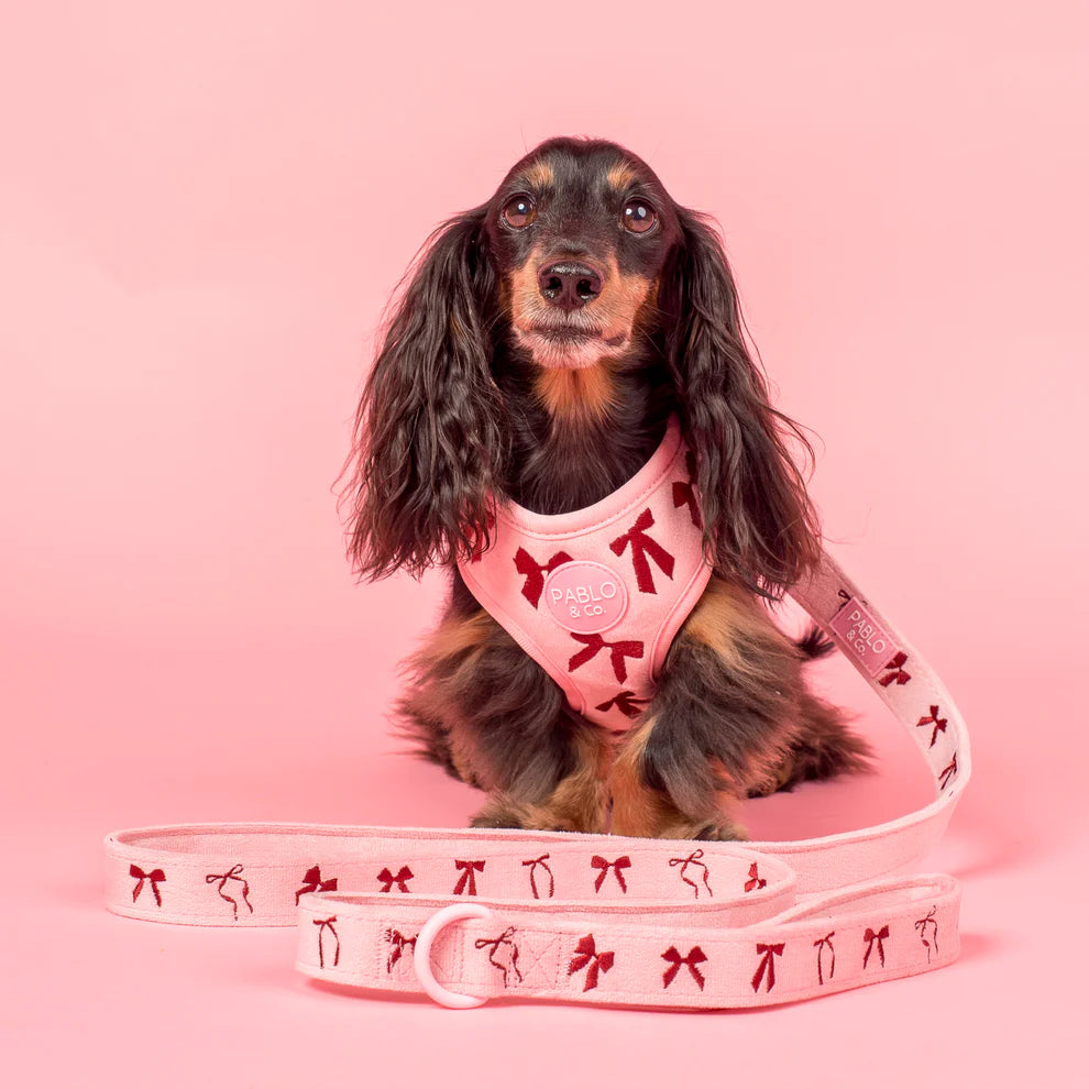 Velvet Blush Bows: Dog Leash