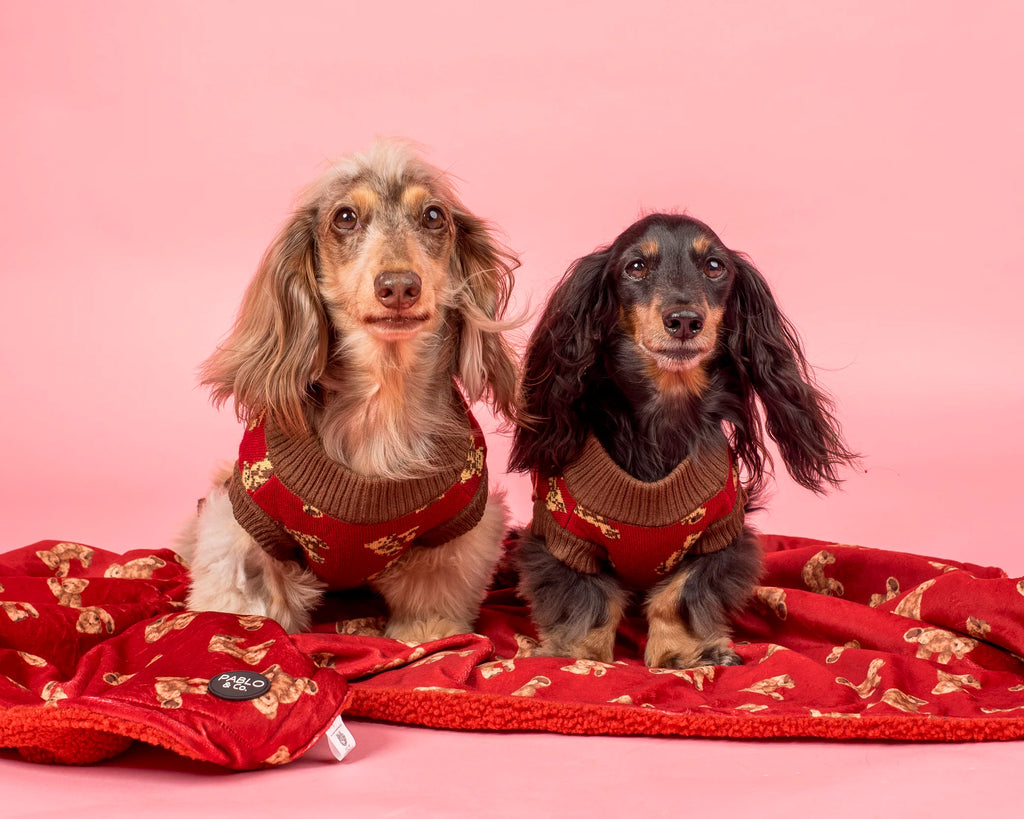 Dog Blanket