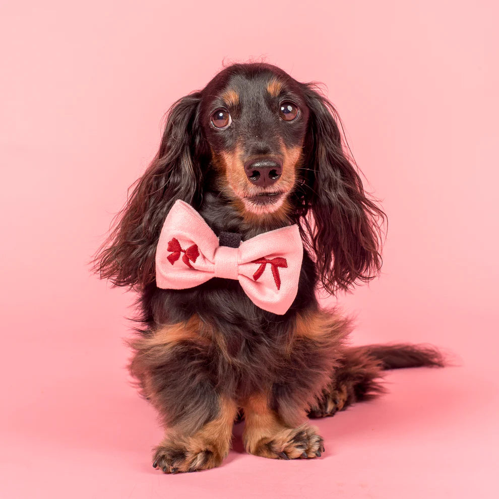 Velvet Blush Bows: Bow Tie