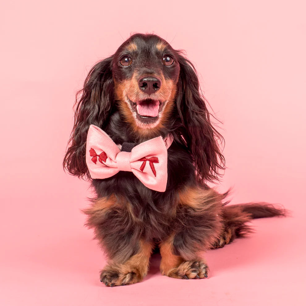 Velvet Blush Bows: Bow Tie