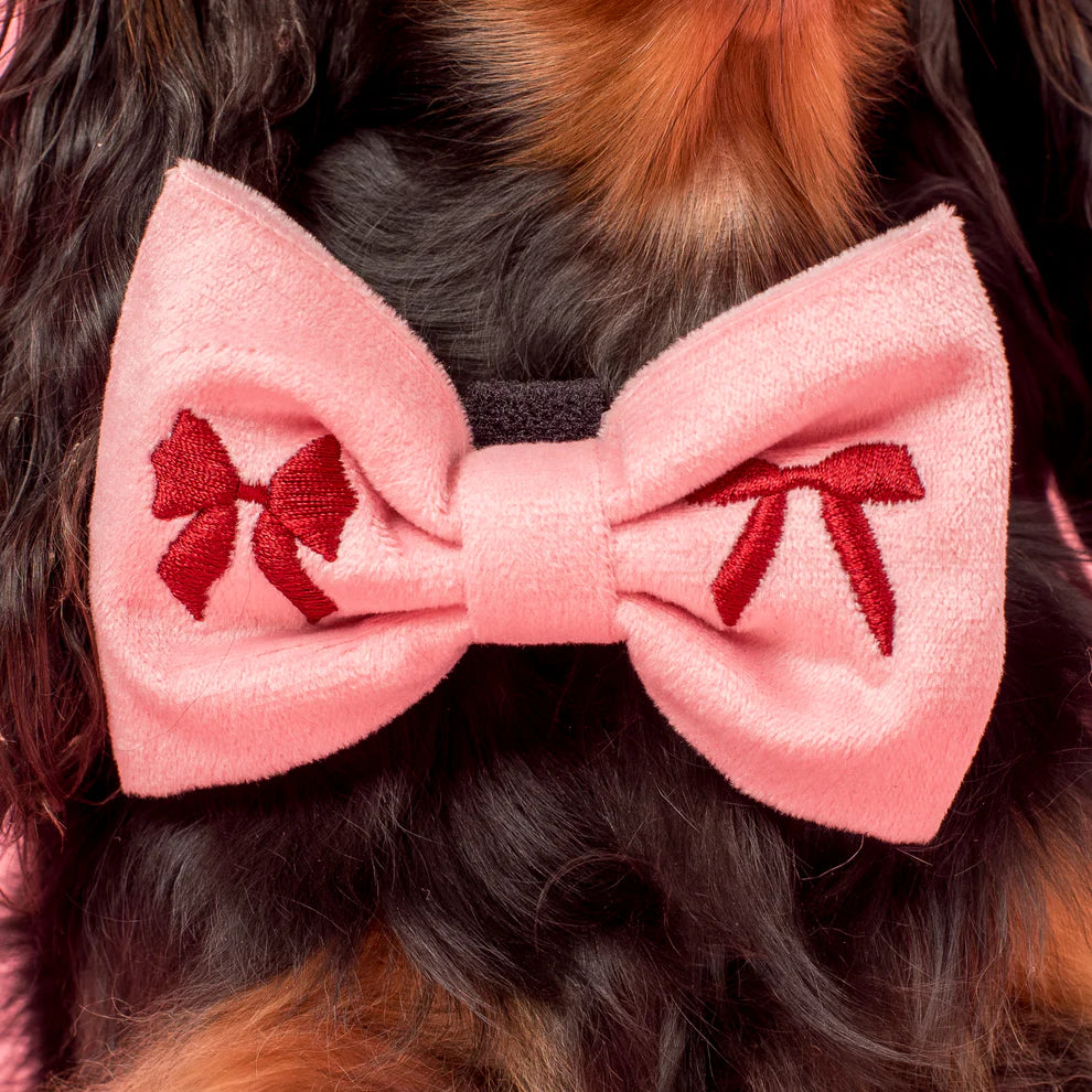 Velvet Blush Bows: Bow Tie
