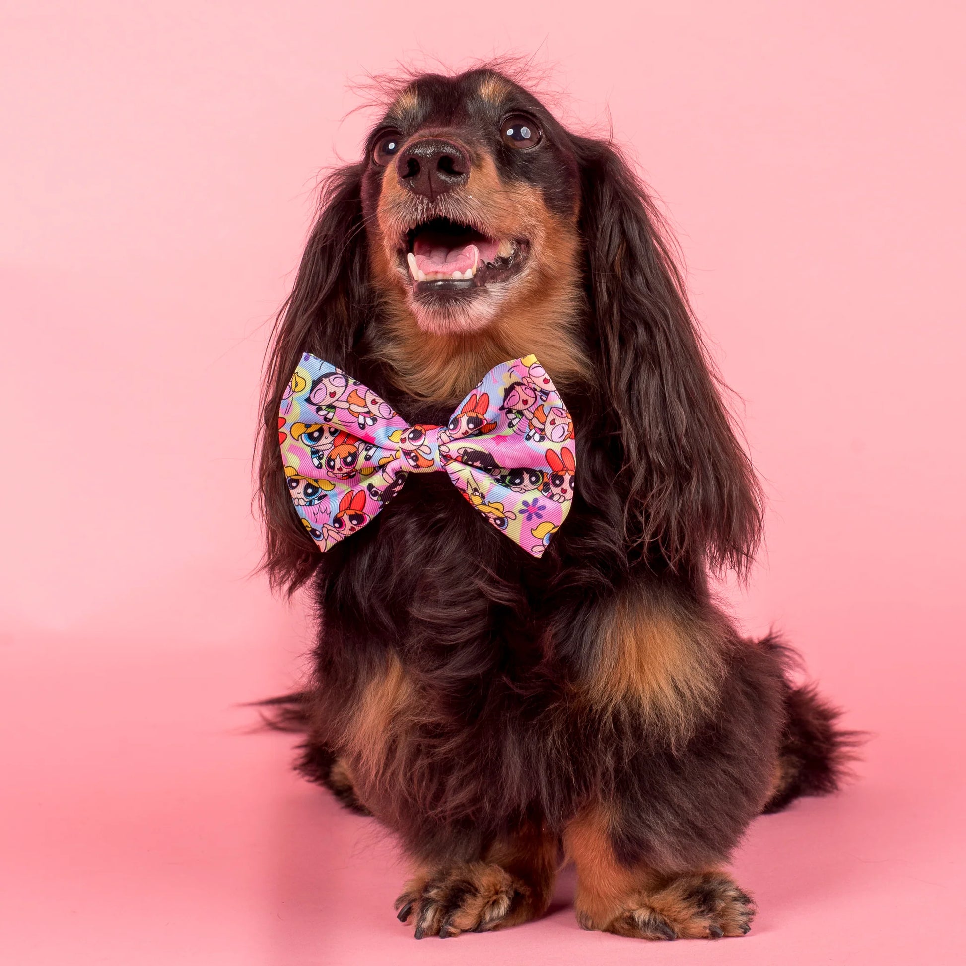 The Powerpuff Girls Bow Tie (Medium/Large)