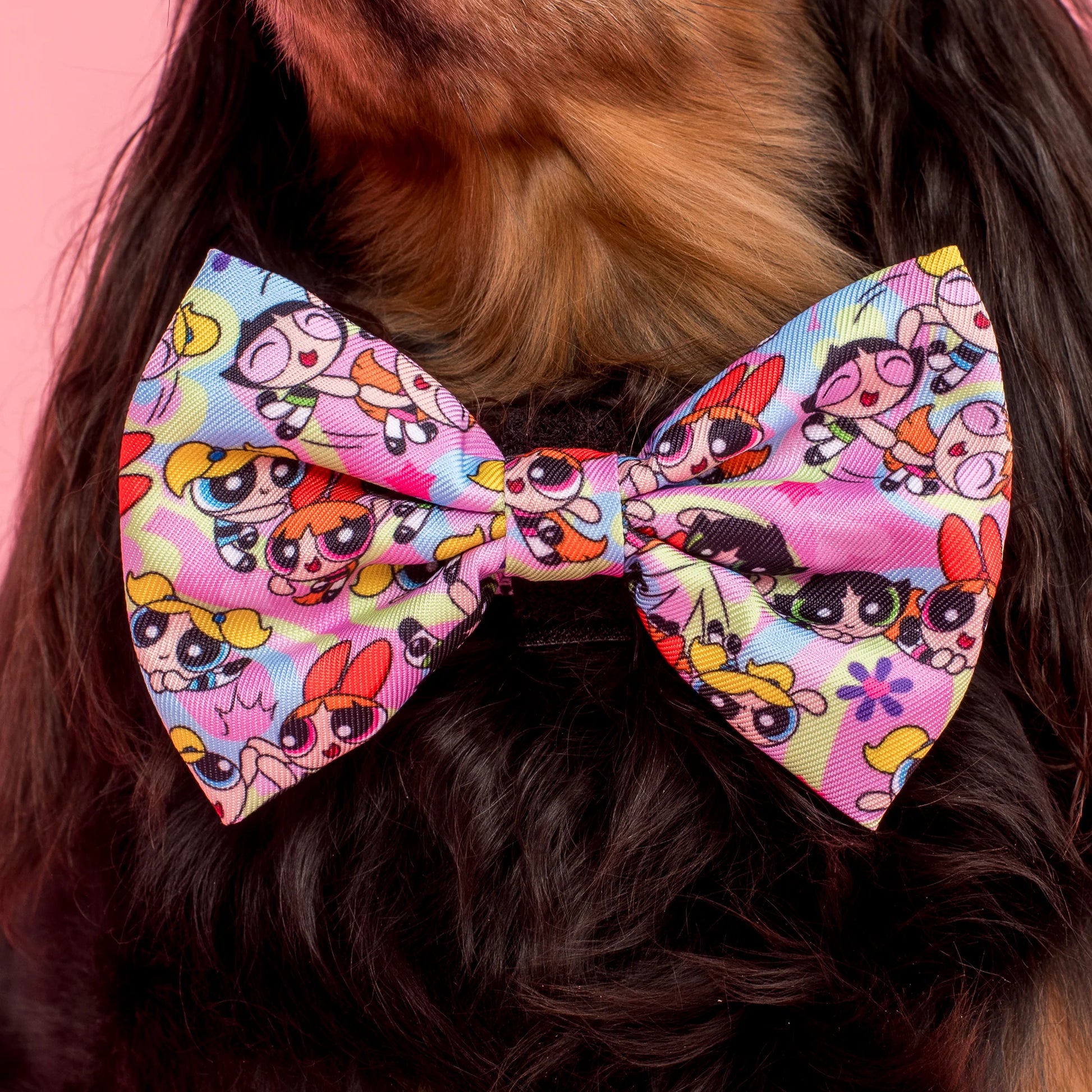 The Powerpuff Girls Bow Tie (Medium/Large)
