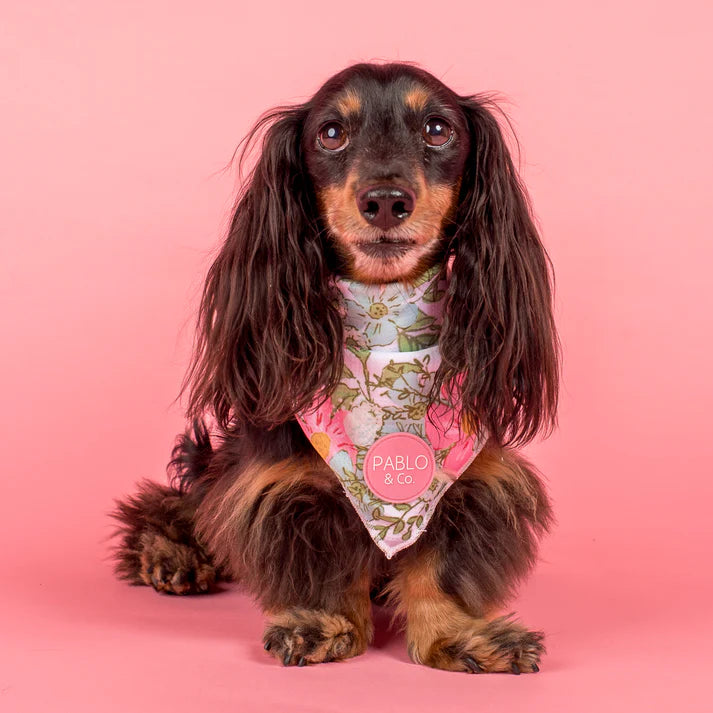 Flora & Fern: Dog Bandana