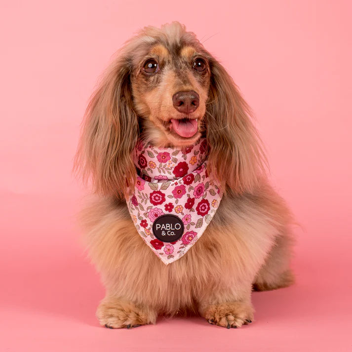 Primrose: Dog Bandana