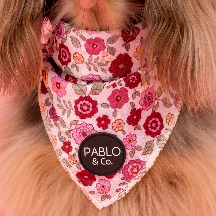 Primrose: Dog Bandana