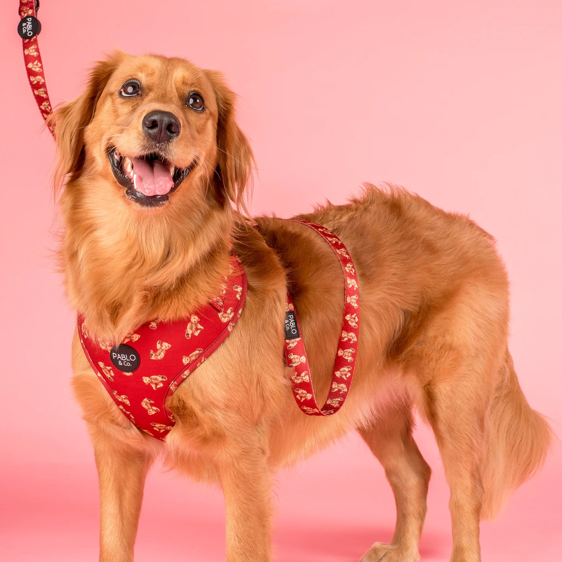 Henry Bear: Adjustable Harness (XXS-XL)