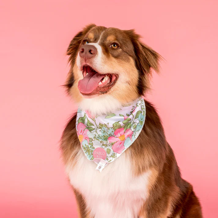 Flora & Fern: Dog Bandana