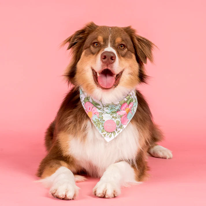 Flora & Fern: Dog Bandana