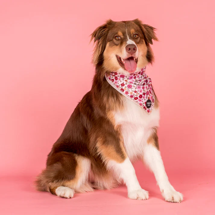Primrose: Dog Bandana