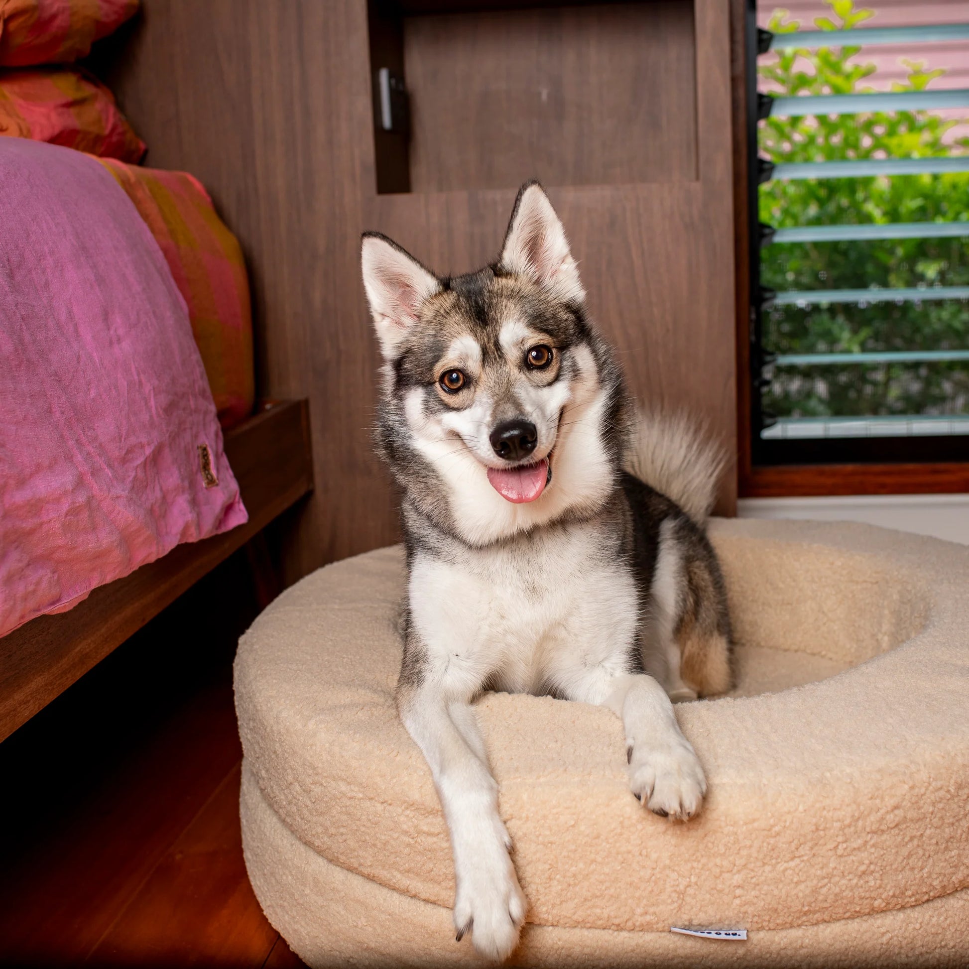 Orthopedic Memory Foam Teddy Donut Dog Bed