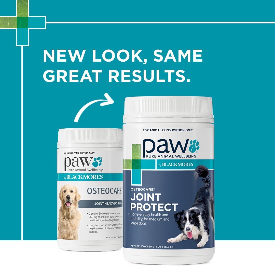 PAW Osteocare Joint Health Chews 300g/500g-300g - 60 Chews