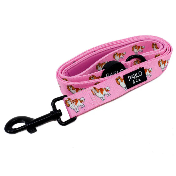 Cavalier King Charles Dog Leash