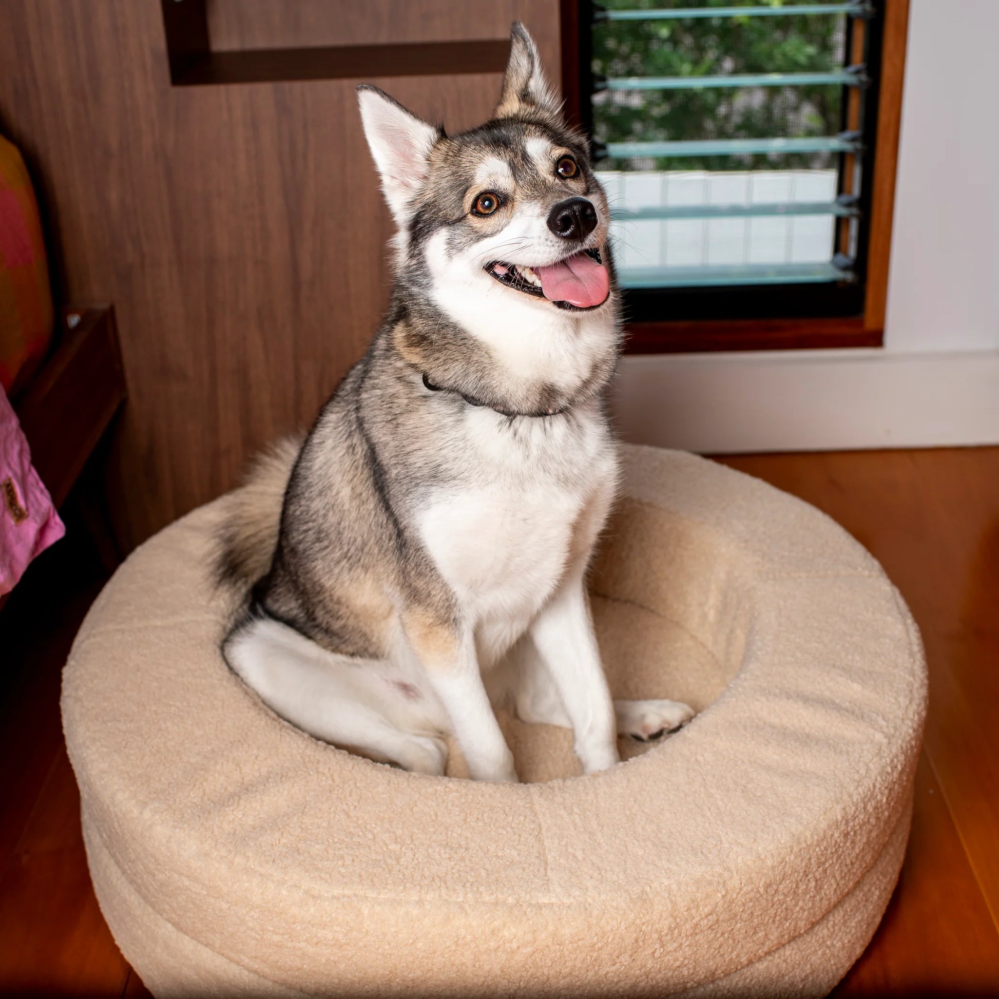Orthopedic Memory Foam Teddy Donut Dog Bed