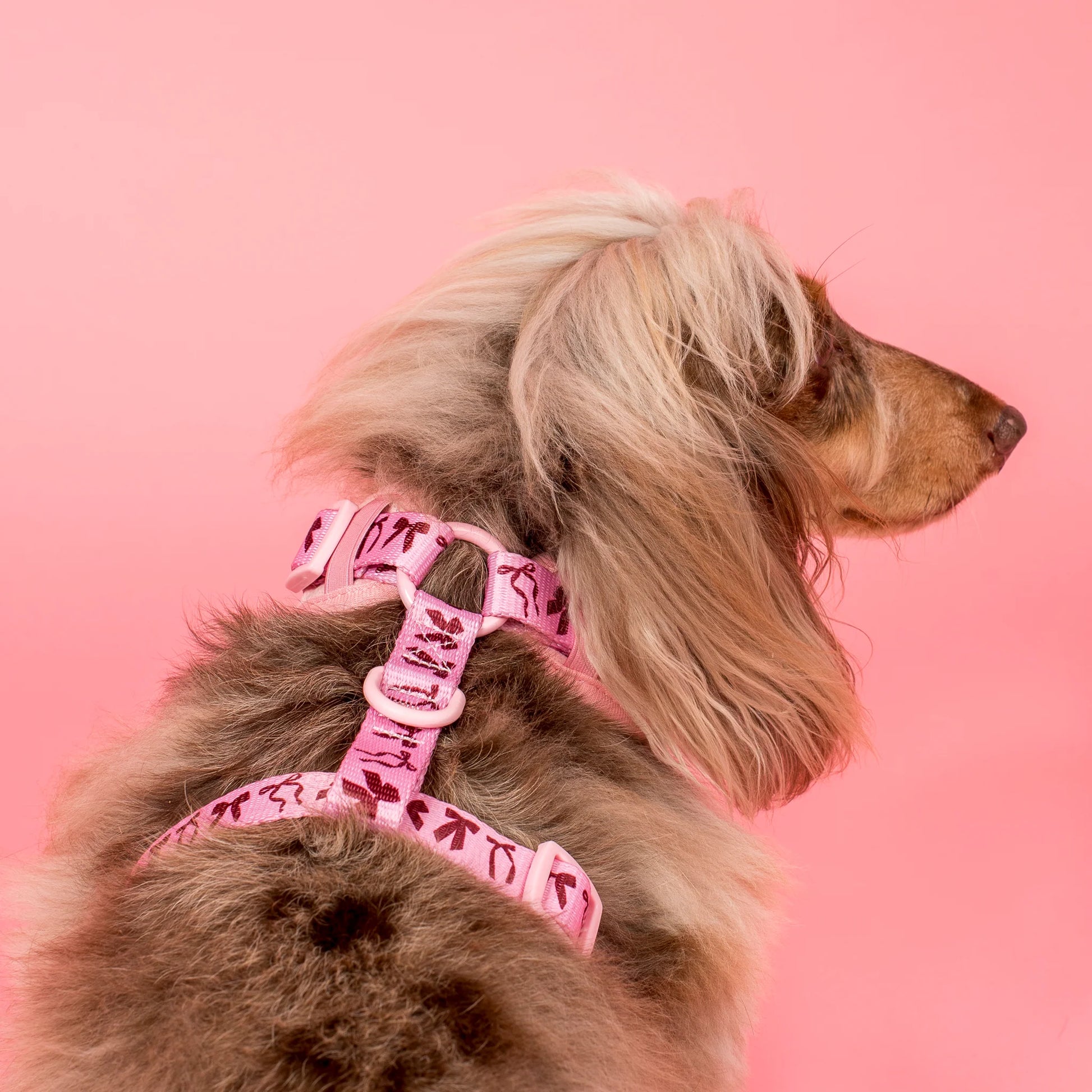 Velvet Blush Bows: Adjustable Harness