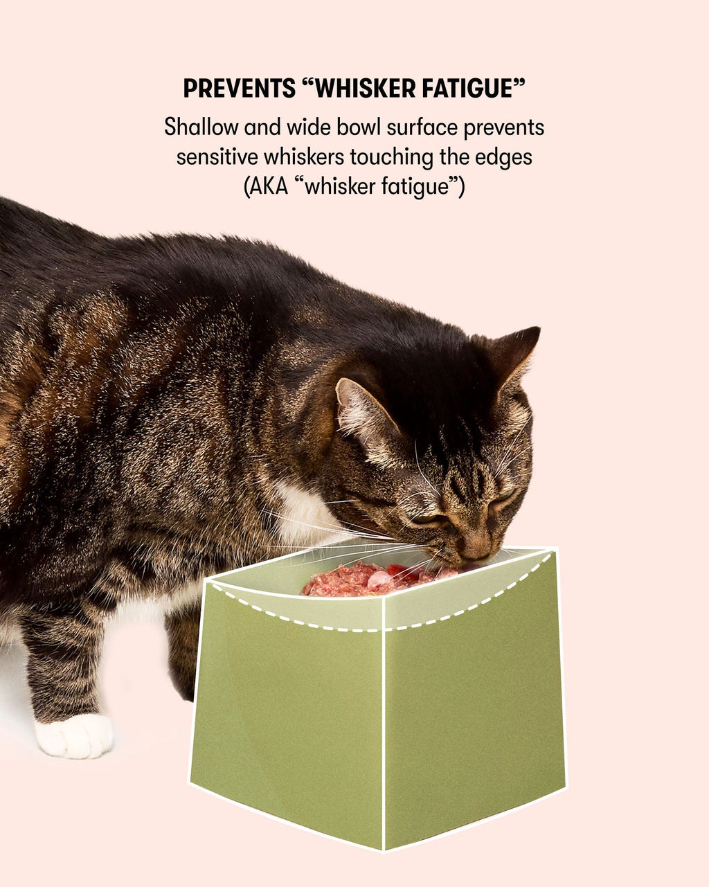 CAT Corner Bowls